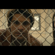 Illustration for article titled The Trailer for Zac Efrons Ted Bundy Movie Is Fucking Gross